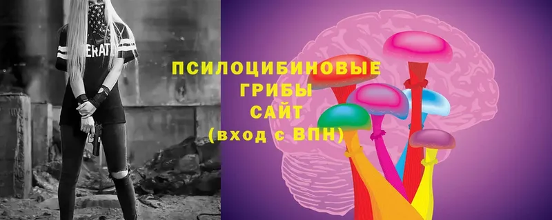 ссылка на мегу tor  даркнет сайт  Вытегра  Псилоцибиновые грибы Psilocybe 