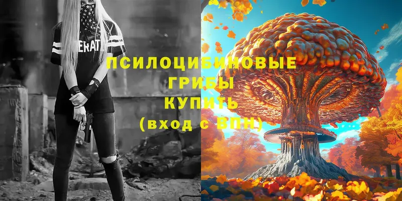 Галлюциногенные грибы Psilocybe  купить наркоту  Вытегра 